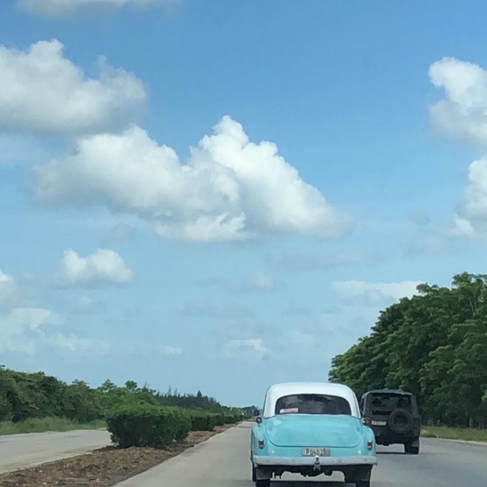 Meet your Posher, Monique